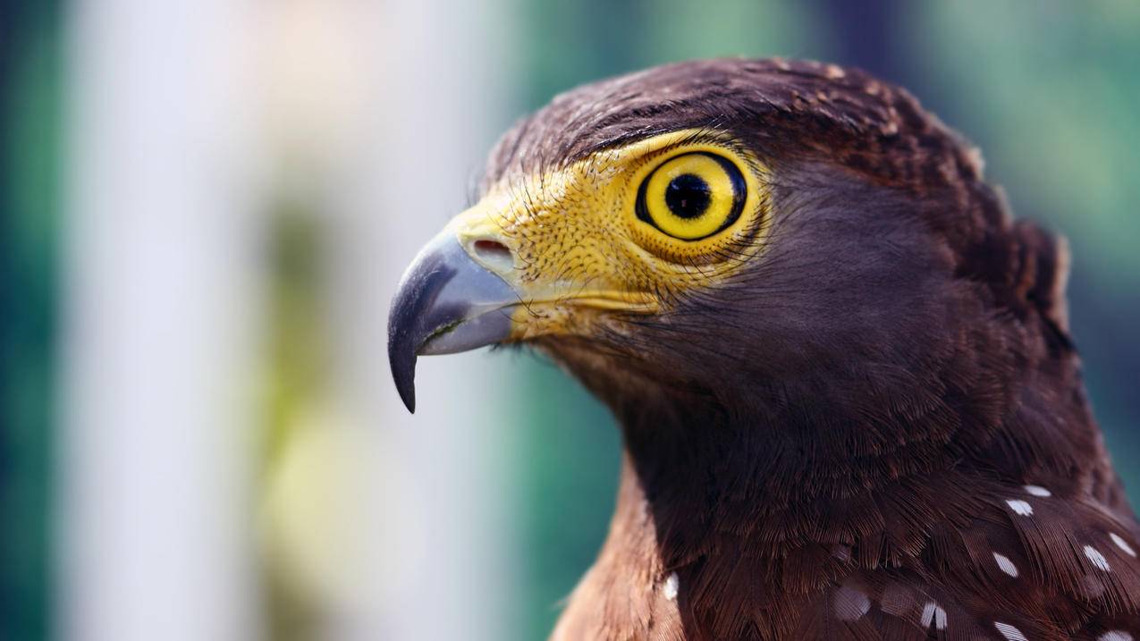 注册台湾苹果id账号出生日期无效是什么情况_苹果id注册为什么出生日期无效 - 台湾苹果ID - 55dz账号网
