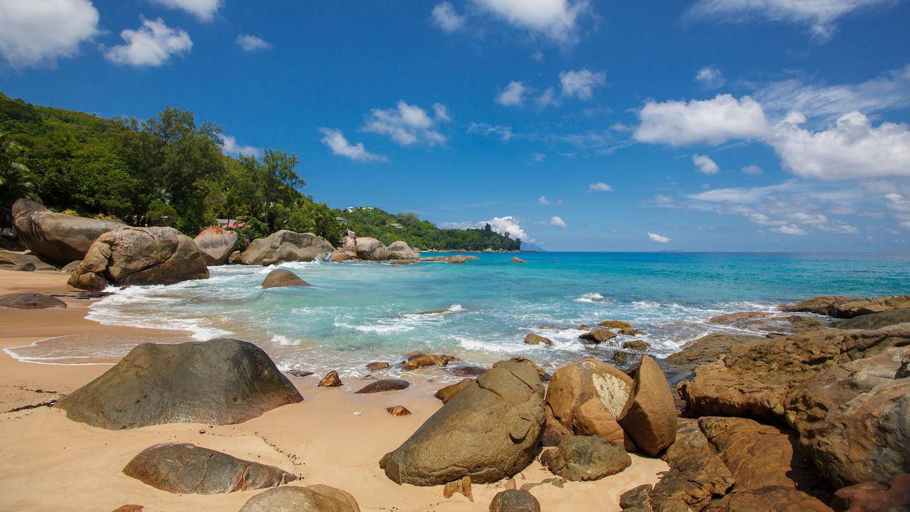 安卓手机可以下载推特吗_安卓手机可以下载推特吗知乎 - messenger相关 - 55dz账号网