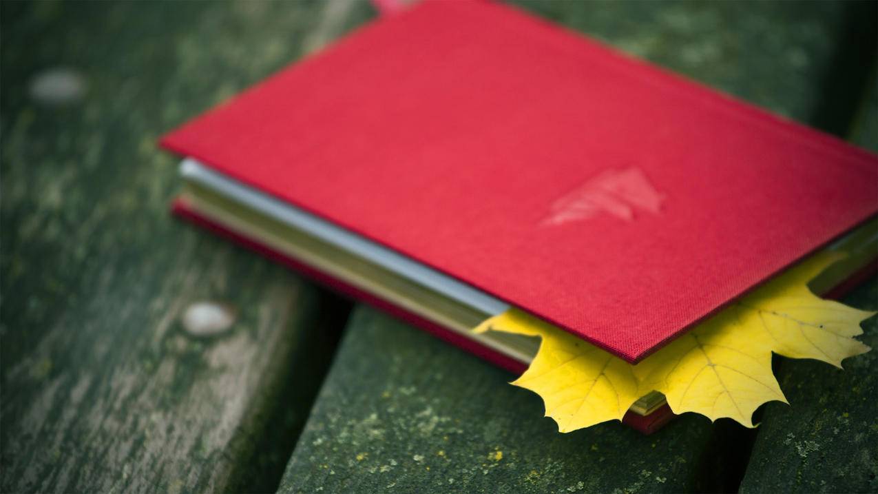 个人邮箱账号怎么填写_个人邮箱号码怎么填 - gmail相关 - 55dz账号网