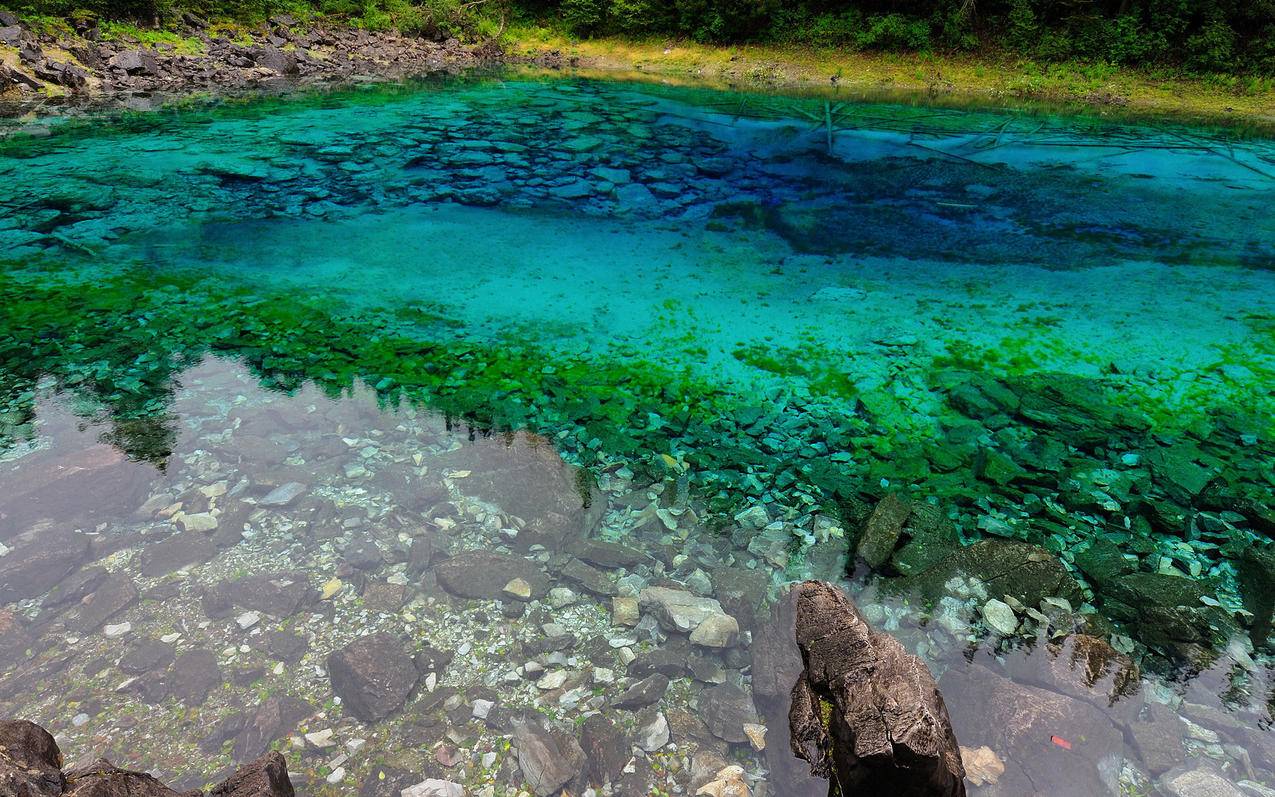 越南苹果id被别人知道了有啥影响 - 各区苹果ID - 55dz账号网