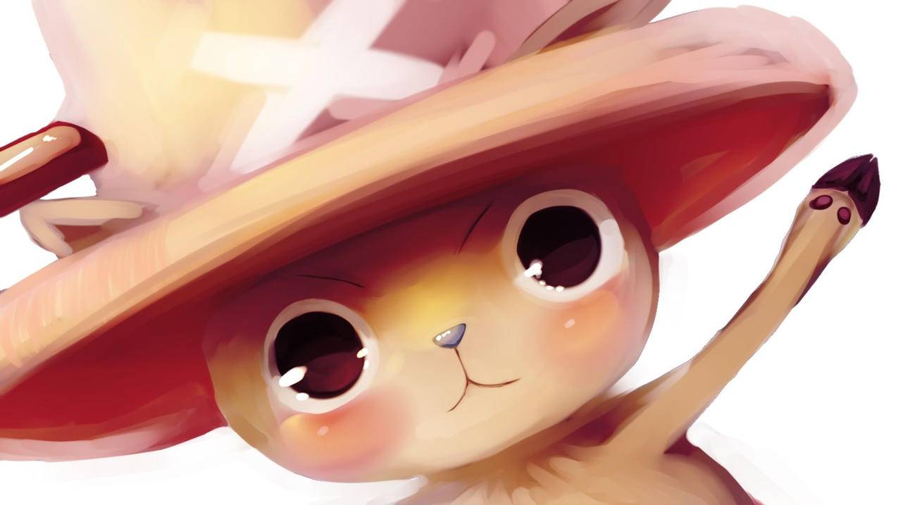 ins安卓版和国际版有什么区别_ins是安卓还是苹果 - INS相关 - 55dz账号网