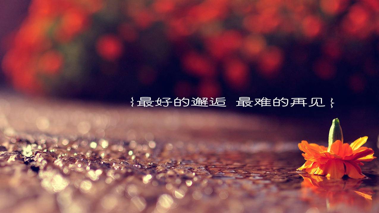 越南苹果id绑定国内信用卡 - 各区苹果ID - 55dz账号网