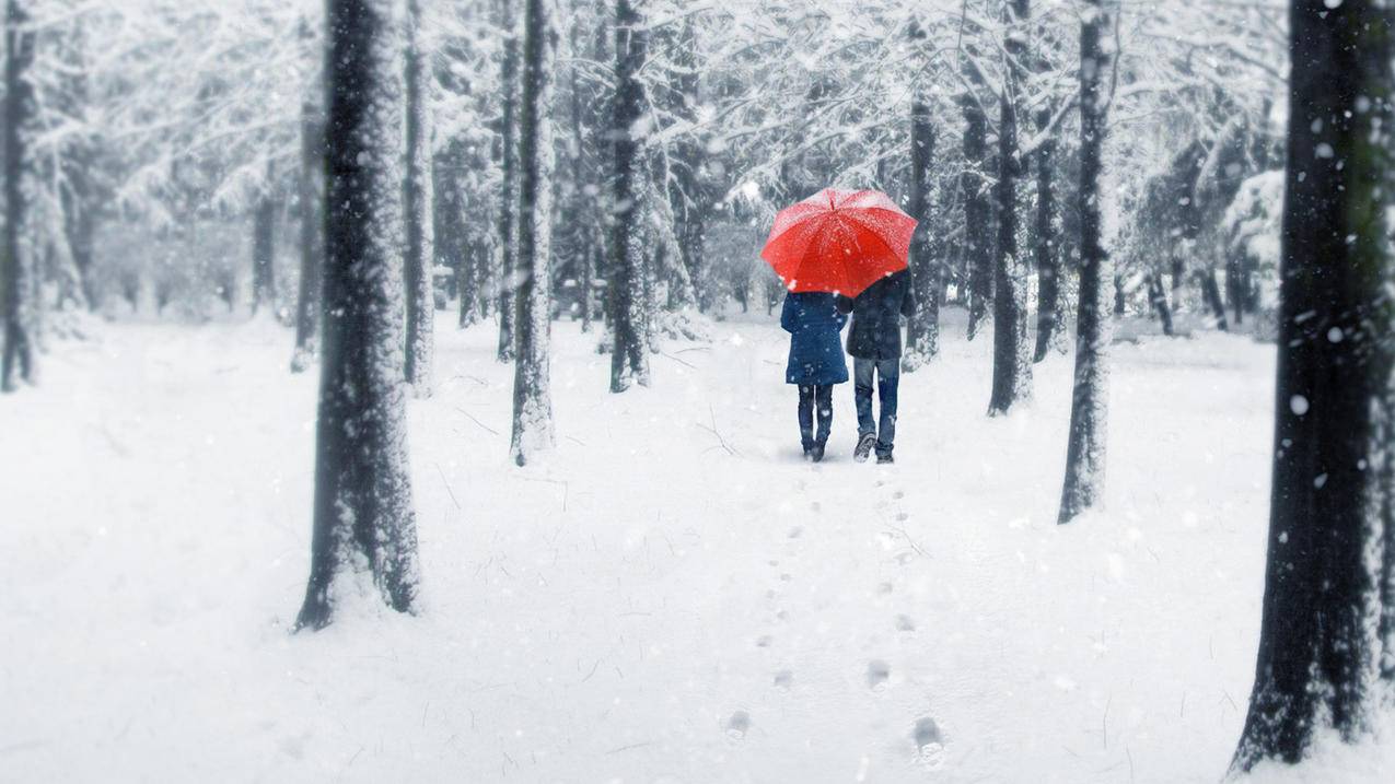 苹果手机id密码被别人知道有危险吗? ， 苹果账户被别人使用有危险吗?  - 55dz账号网