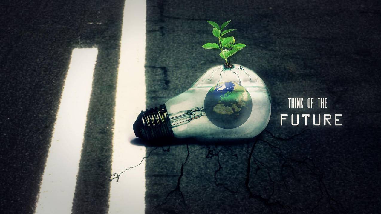 tiktok怎么解绑国内手机号_安卓手机怎么注册tiktok账号 - tiktok相关 - 55dz账号网