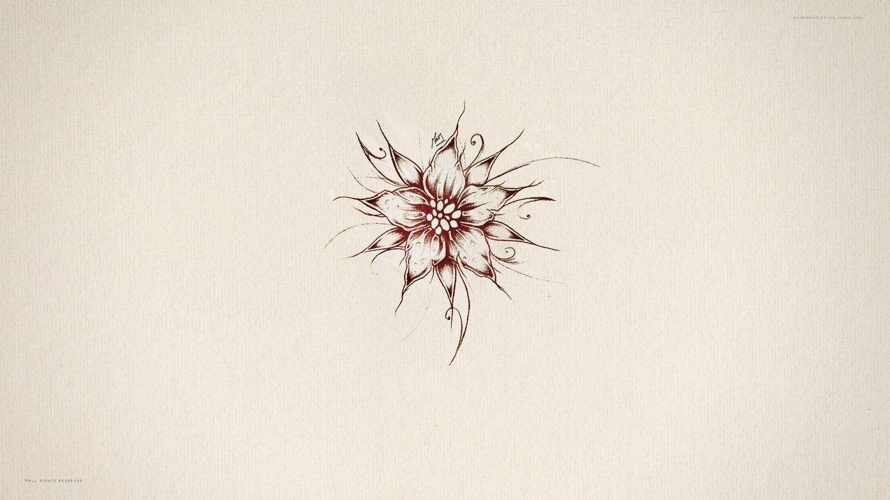 苹果id被锁 电子邮件是iCloud邮箱也被锁了, 安全问题全忘了, ， icloud邮箱无法登录怎么办呢?  - 55dz账号网