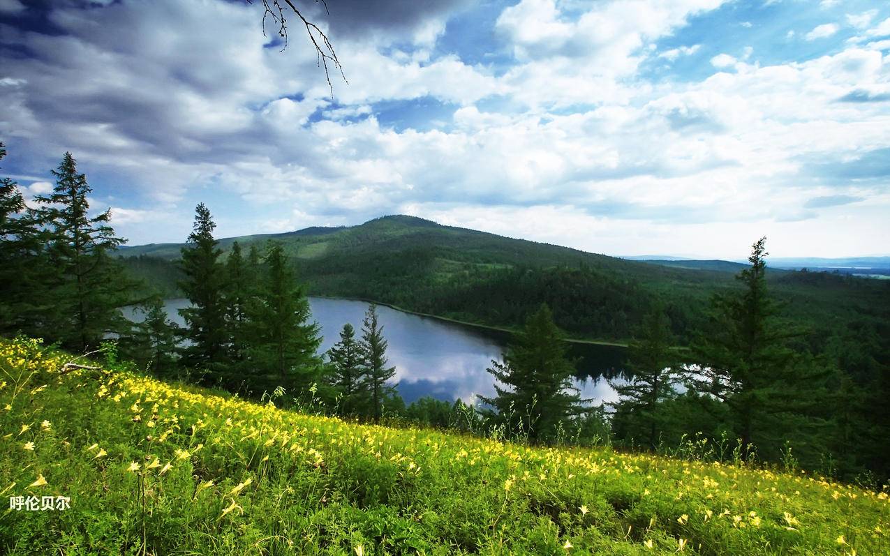 手机号不用了韩国苹果id怎么更换绑定手机号_已注册的苹果id能否改成韩国id - 韩国苹果id - 55dz账号网