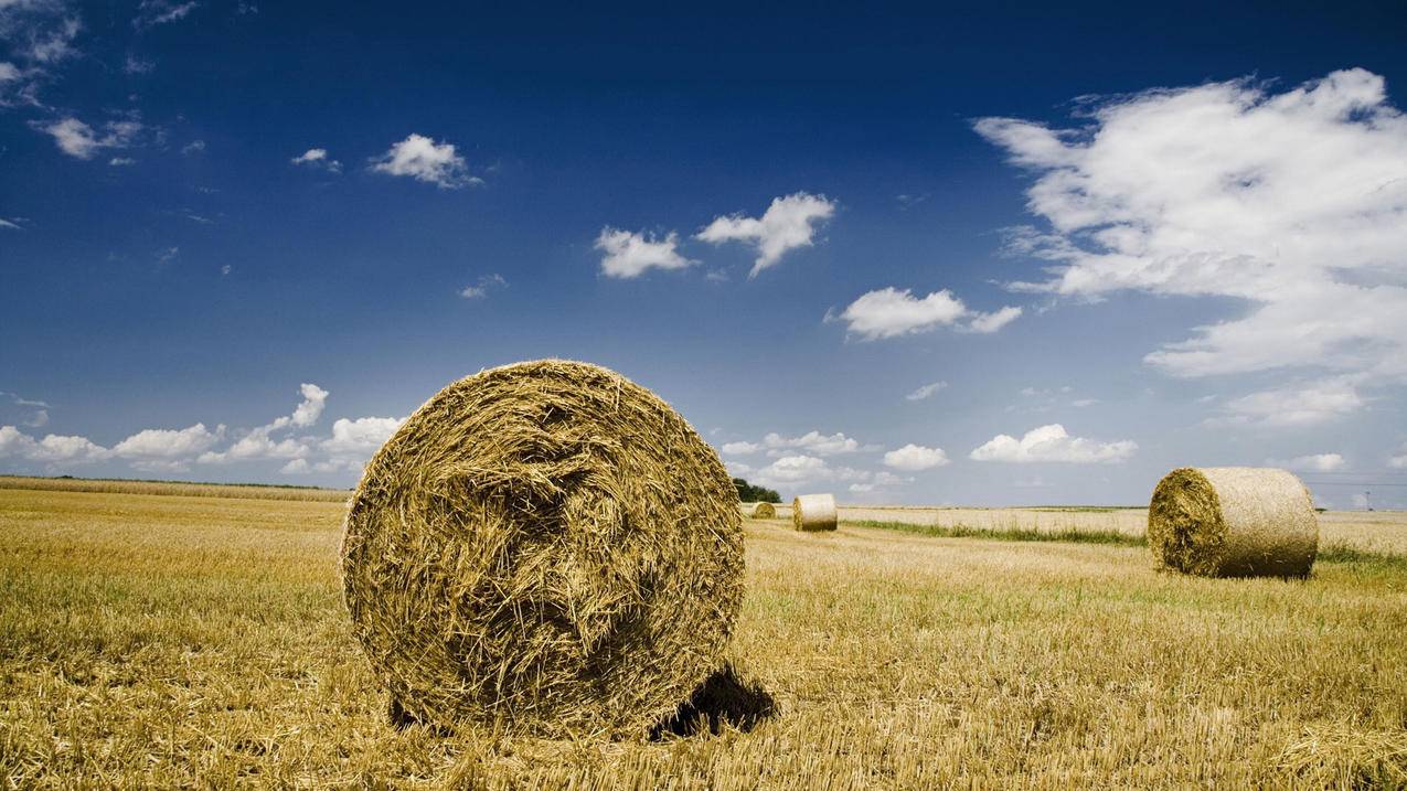 网课卡盟平台-空间说说免费评论网站,王者荣耀刷主页点赞软件,网代刷快手,快手24小时下单业务