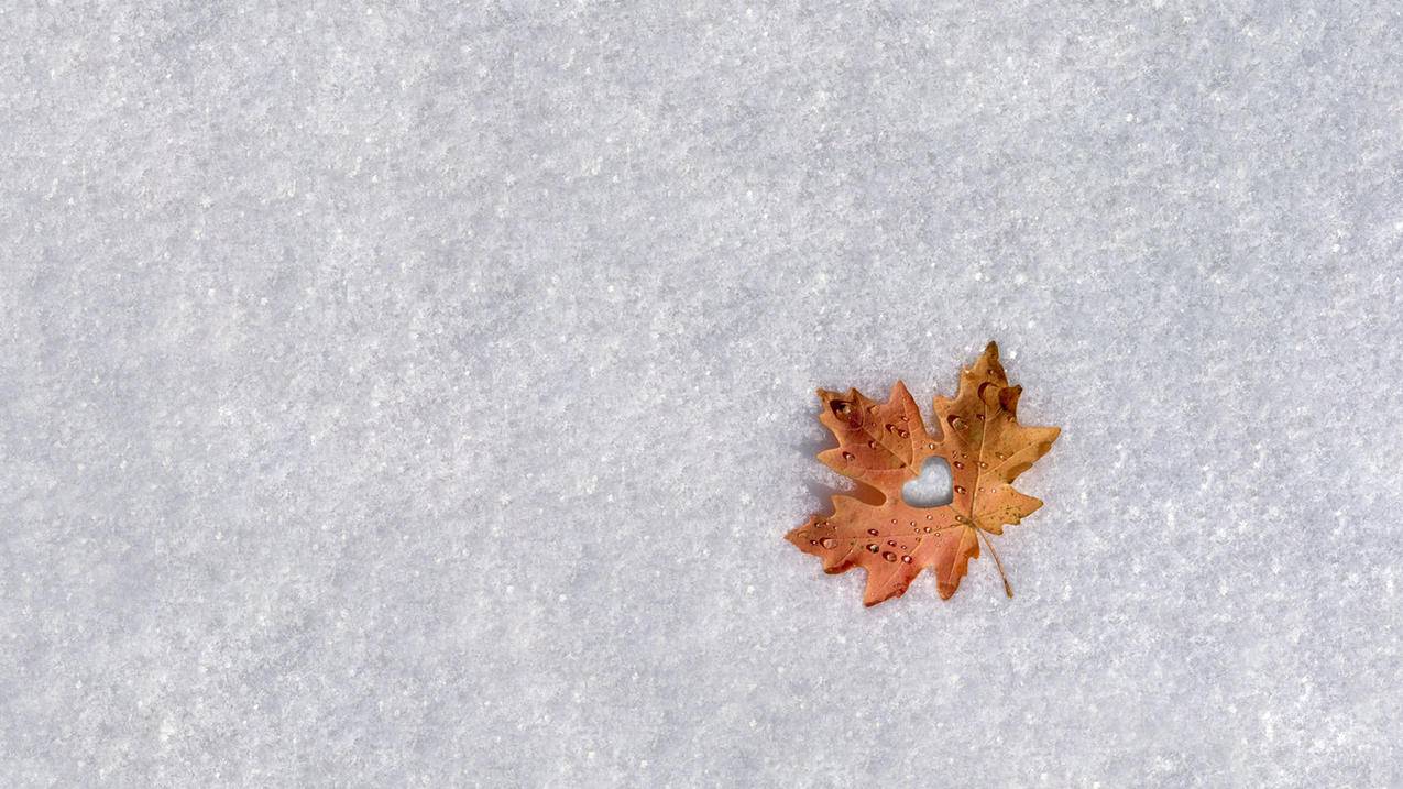 安卓怎么下小火箭  ( 小火箭下载要钱怎么办 ) - 55dz账号网