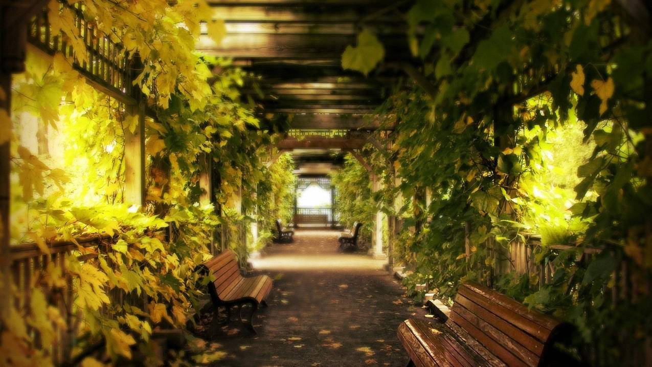 nba2k22生涯模式阵容_nba2k22生涯模式阵容名单 - IOS分享 - 55dz账号网