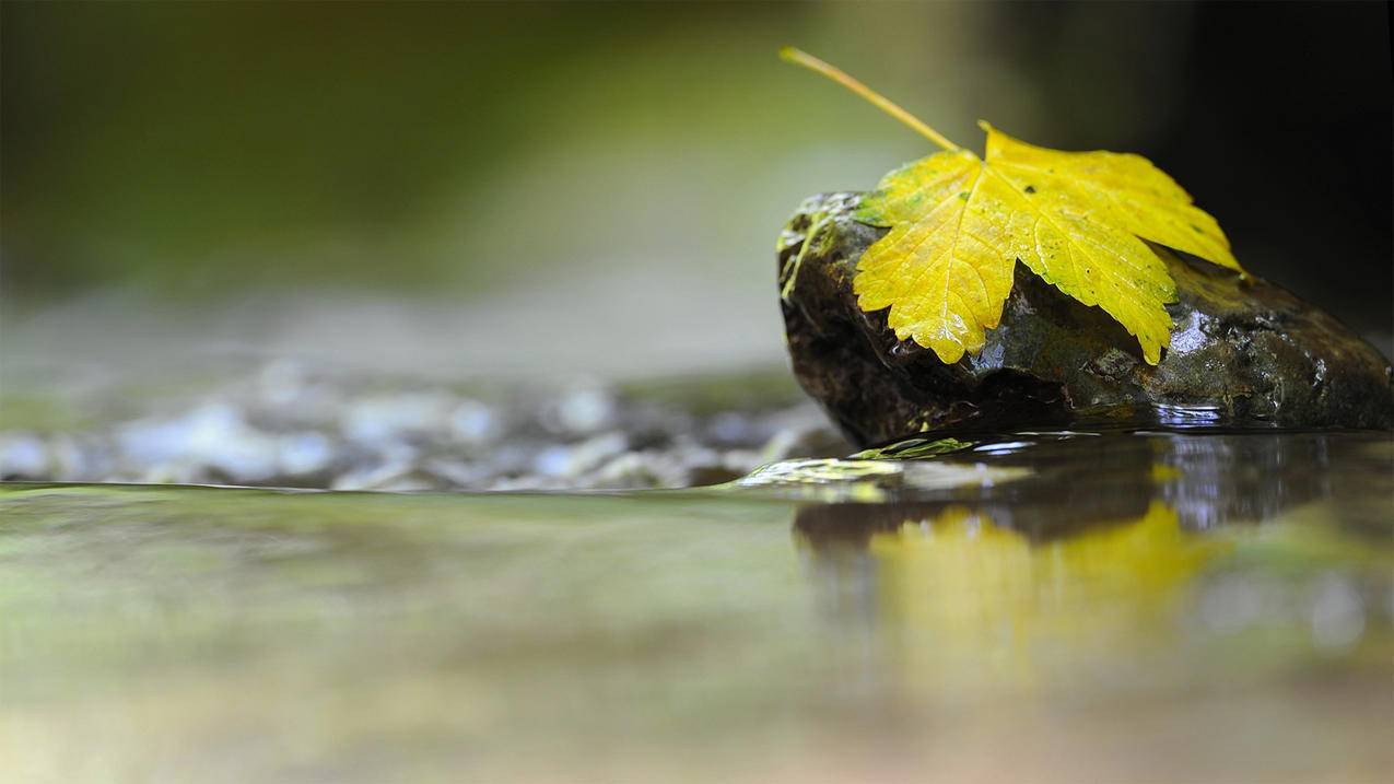带食品的高中数学题有哪些，高中数学题中有哪些是与食品相关的？ - 自助下单ks - ks24小时自助