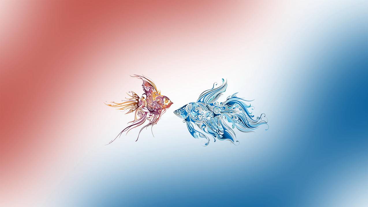 油管主播的生活协助活动_油管主播的生活协助活动怎么完成 - youtube相关 - 55dz账号网