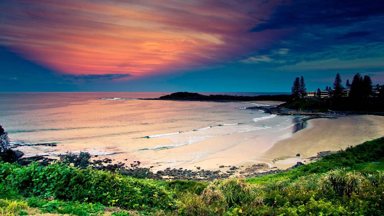 苹果手机无法登录AppleID怎么办_苹果手机id无法登陆怎么办 - skype相关 - 55dz账号网