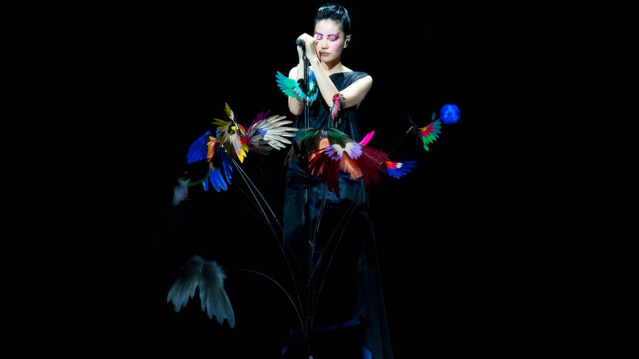 安卓版facebook官方下载_facebook下载安卓版下载 - messenger相关 - 55dz账号网