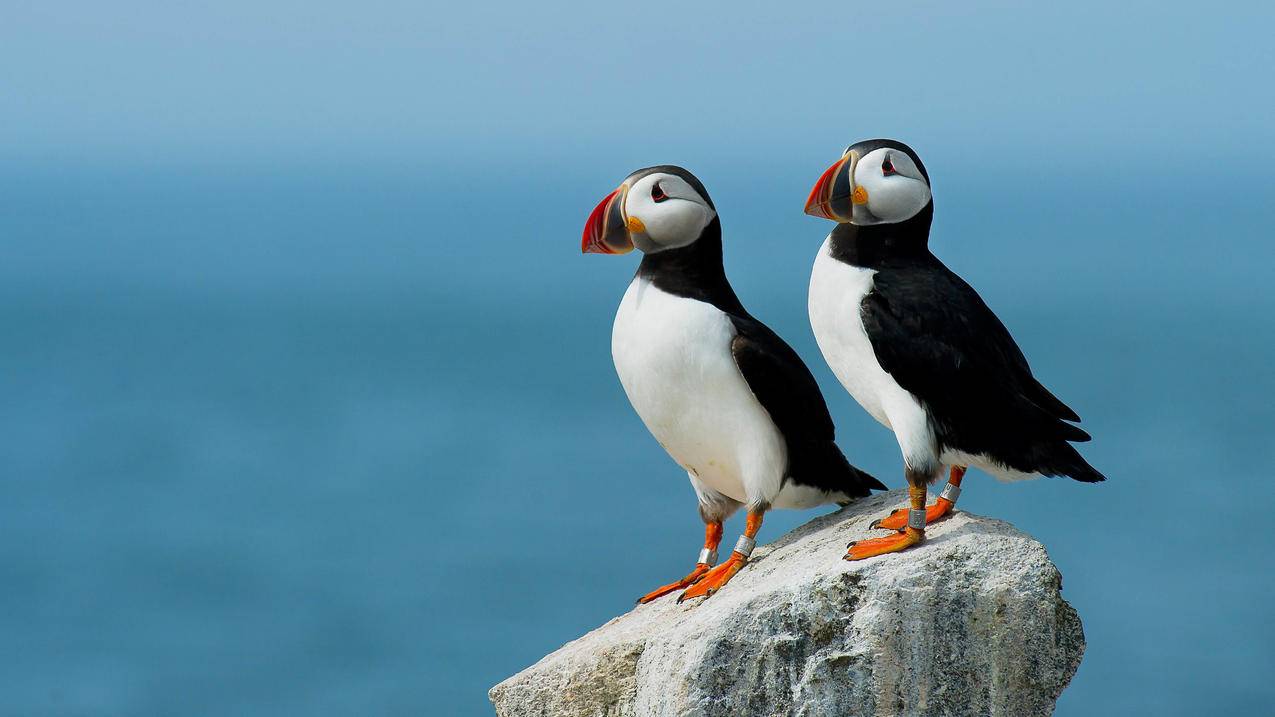 第二个微信注册一半怎么注销掉? ， 如何注销微信帐号?就是不要了,销毁这个帐号?  - 55dz账号网