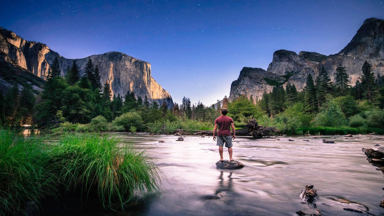 zoom账号多少钱_zoom帐号是什么 - zoom相关 - 55dz账号网