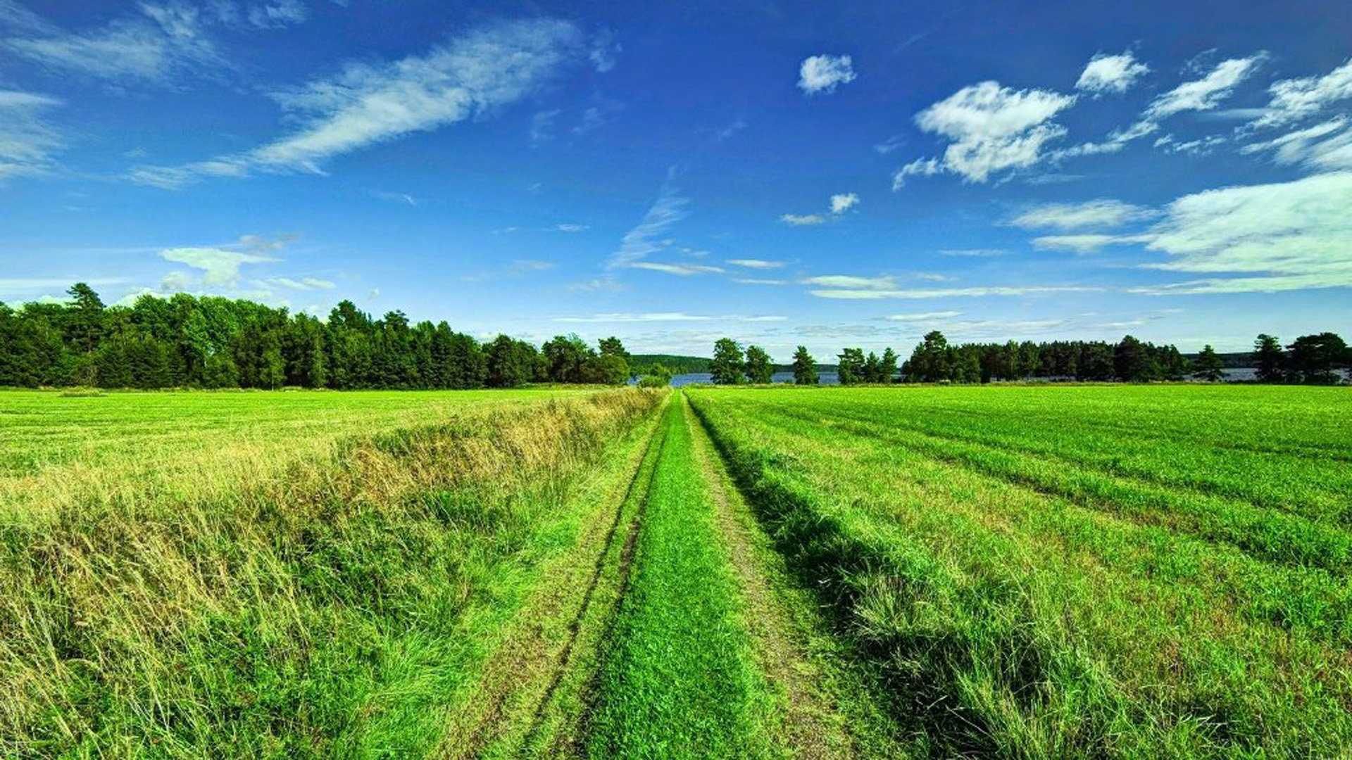 tiktok直播发言看不到_tiktok不能直播 - 苹果APP下载 - 55dz账号网