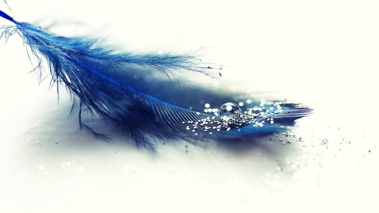 包含nba2konline2本华莱士怎么样的词条 - Line相关 - 55dz账号网