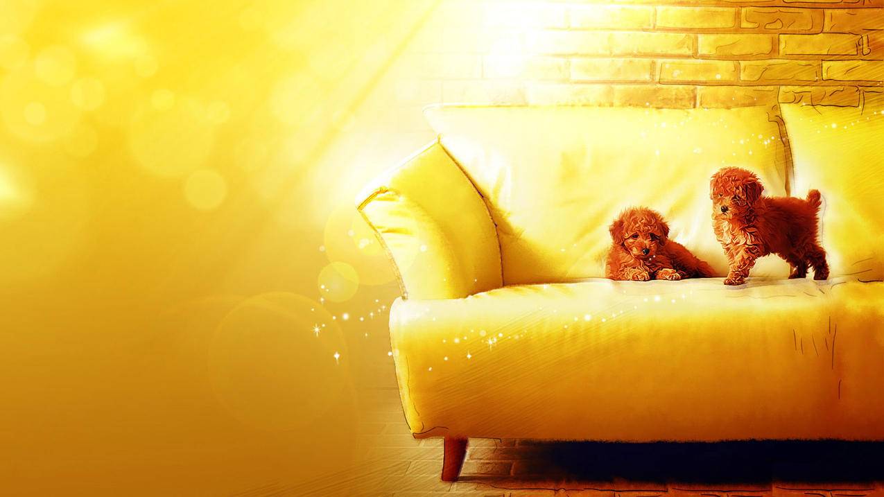 加入zoom会议听不到声音_zoom会议听不到声音怎么回事 - zoom相关 - 55dz账号网