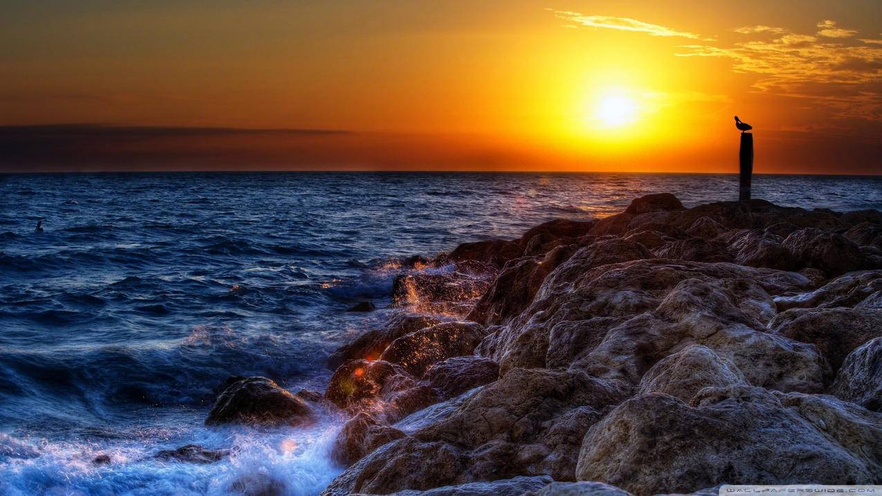 line怎么换账号登录_line怎么换账号登陆 - Line相关 - 55dz账号网