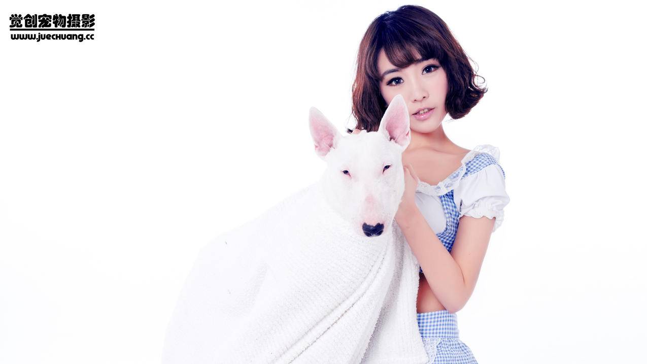 千川商品资质如何更新？ - 自助下单平台 - ks业务网