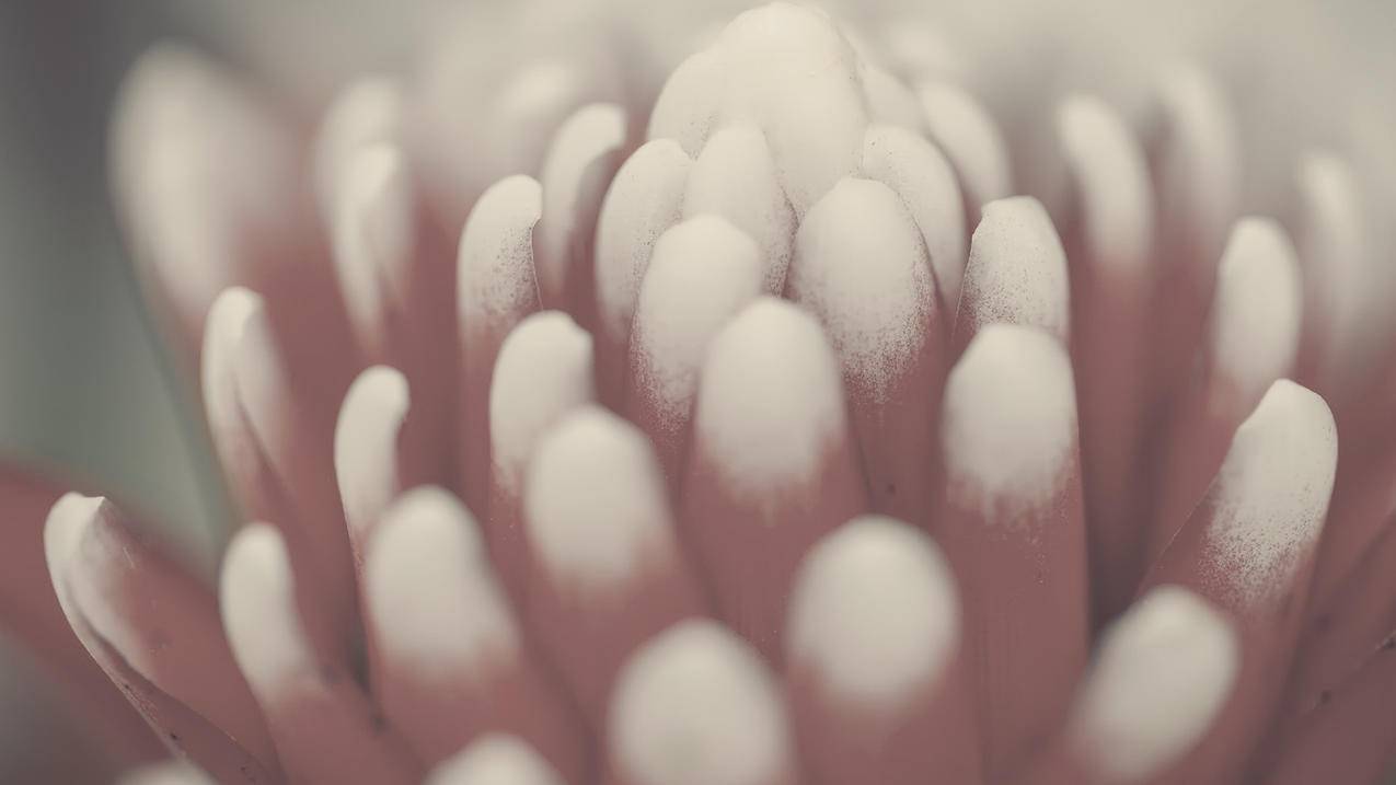 快手点赞网平台 - 快手1元1w粉-刷赞王快手一元刷100个赞-卡盟刷人气