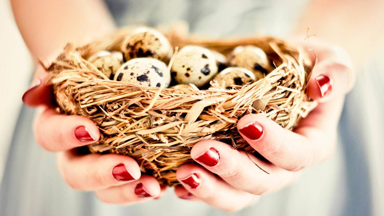 怎么一直是验证失败,连接Apple ID服务器时出错 ， 苹果手机id验证失败连接服务器出错  - 55dz账号网