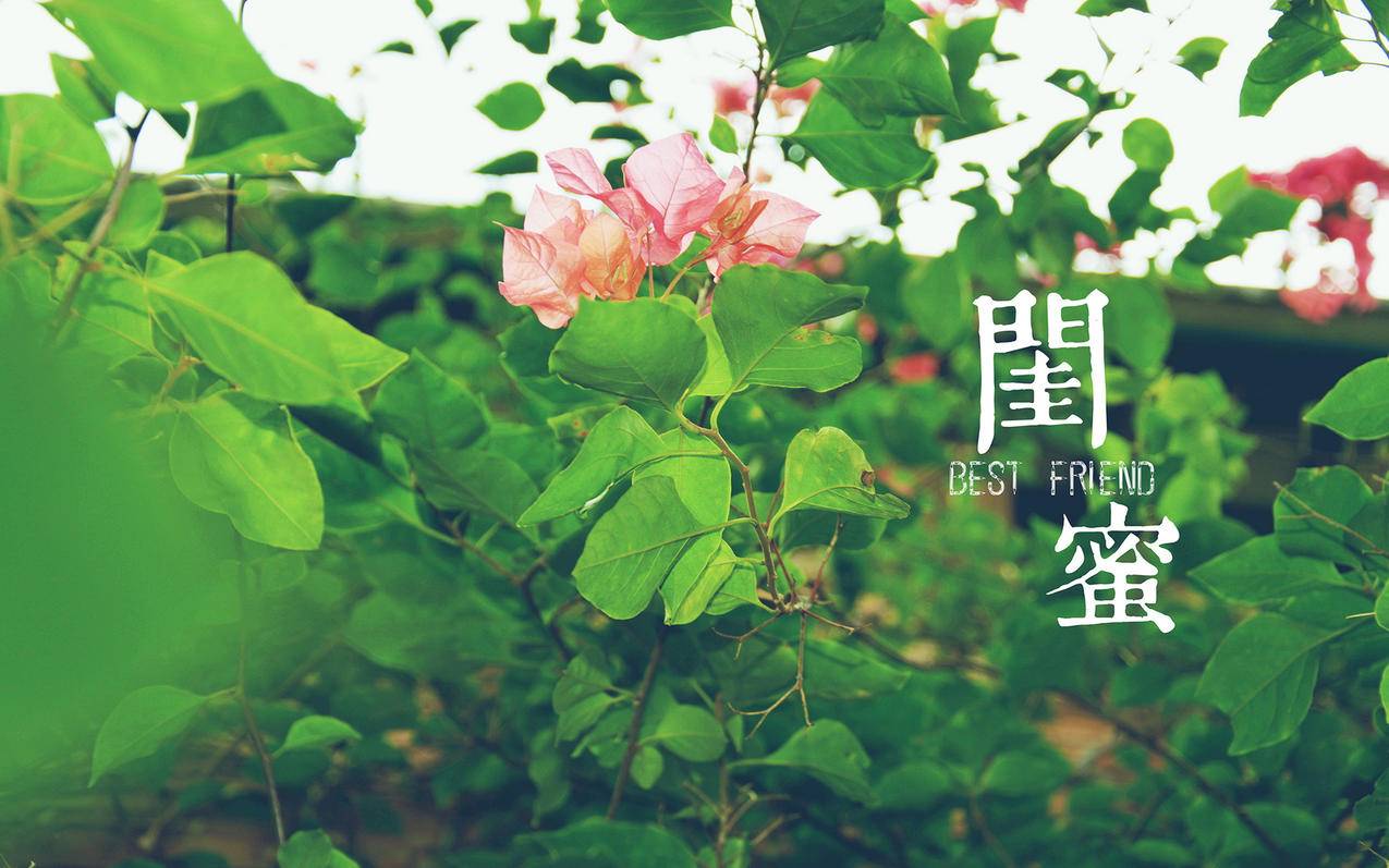 什么是抖音有效分-dy业务网