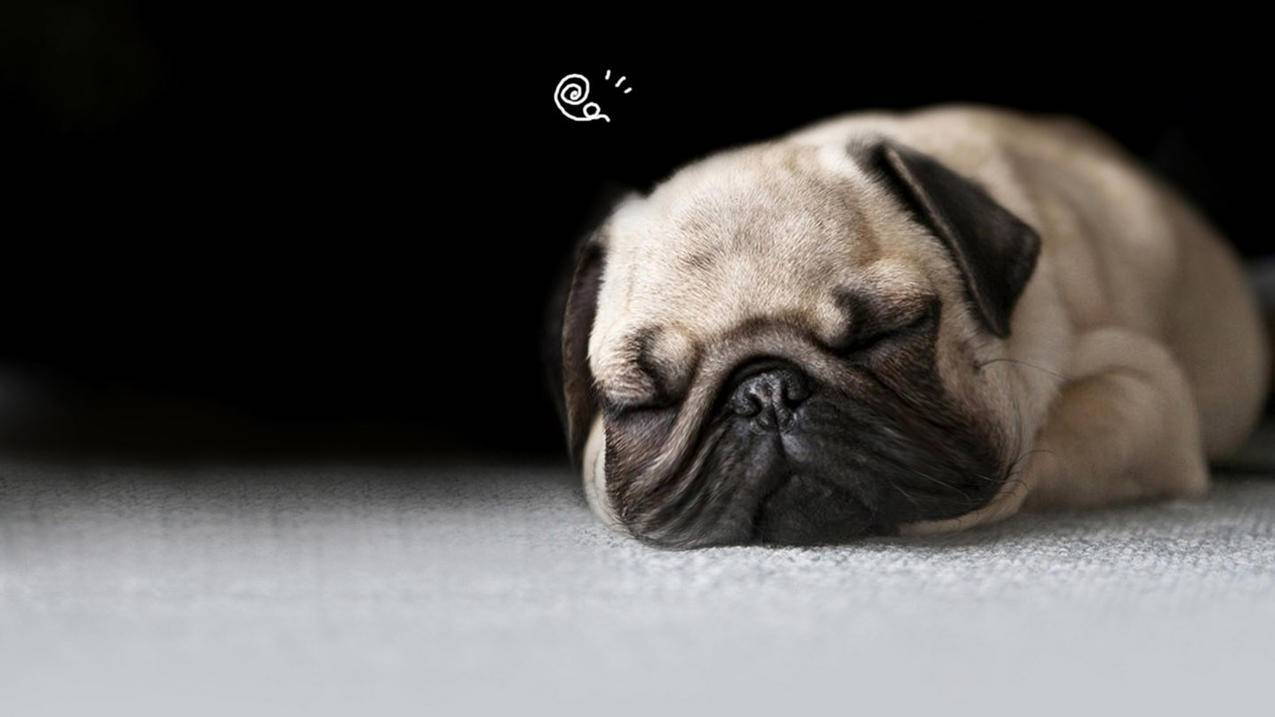 退出日本苹果id忘记密码怎么办_苹果日本id忘记了怎么办 - 日本苹果ID - 55dz账号网