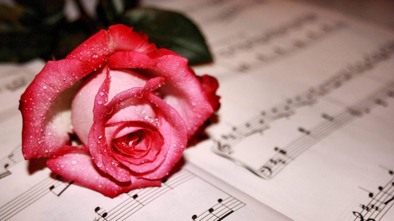 安卓nba2k20无限金币修改器_nba2k20无限金币修改器手游 - IOS分享 - 55dz账号网