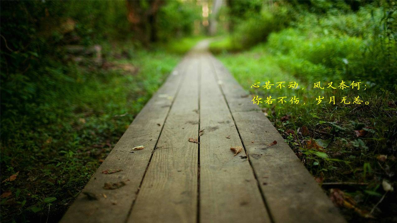 苹果id一般是什么格式 ， 苹果Apple ID是什么格式  - 55dz账号网