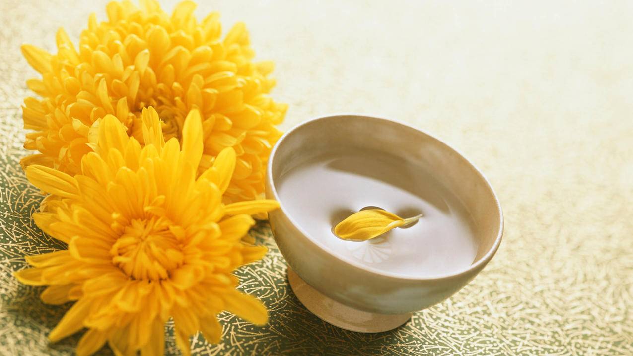 微信收款限额了怎么办要怎么才能解除_微信收款限额了怎么解决 - 微信相关 - 55dz账号网