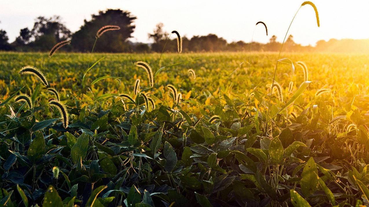 海城自助下单平台-qq软件刷赞,诚信qq刷赞网,空间说说赞在线刷网页,快手刷双击网址在线