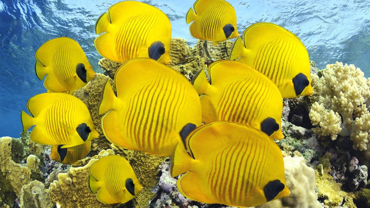 手机上怎么注册手机号码_怎样注册手机号码 - gmail相关 - 55dz账号网