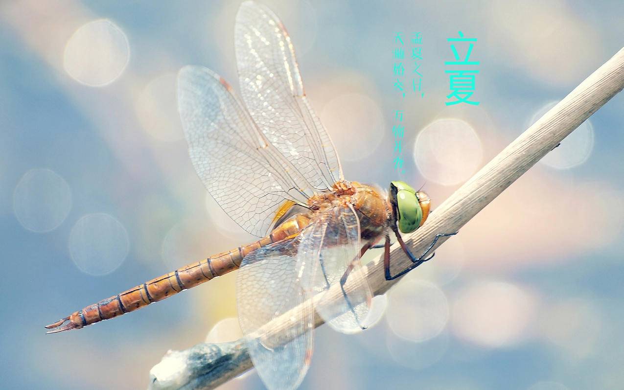 facebook怎么隐藏点赞_facebook点赞后取消会被发现吗 - facebook相关 - 55dz账号网