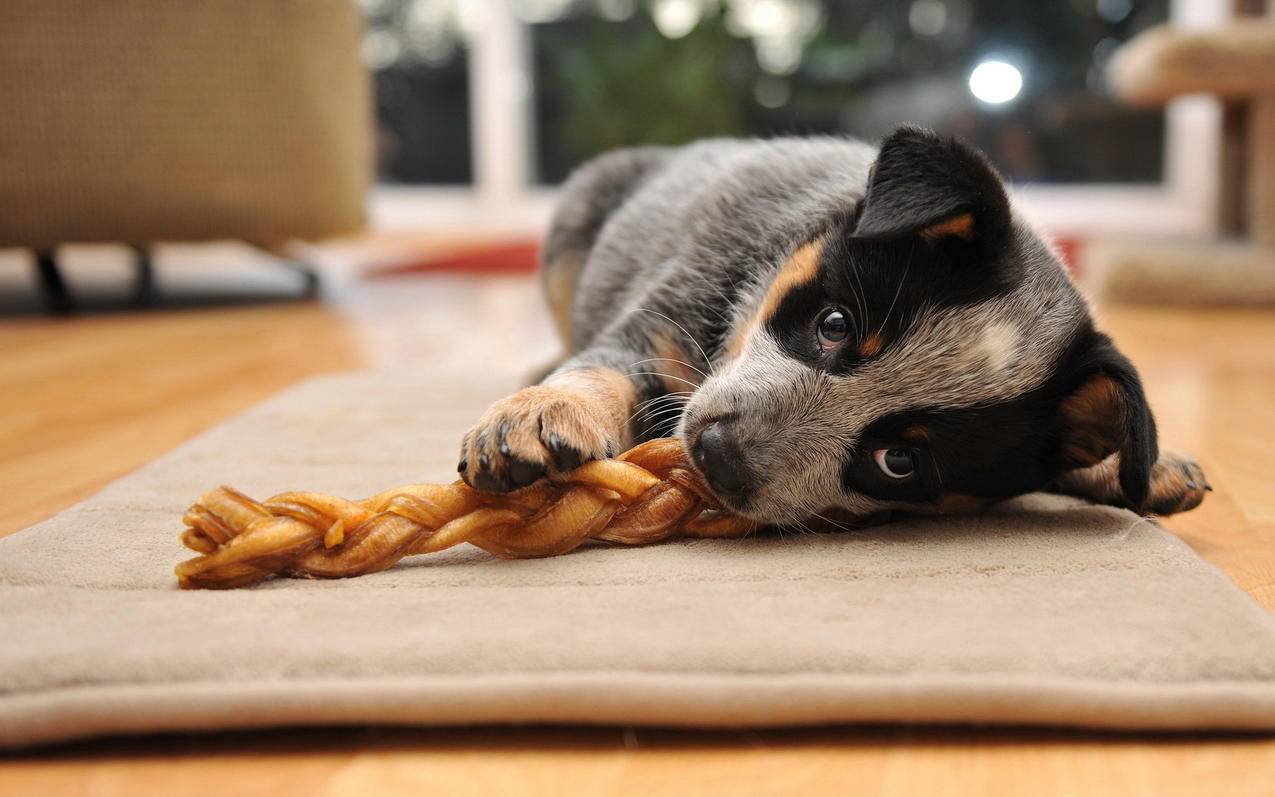 越南苹果id订阅了腾讯视频怎么登录 - 各区苹果ID - 55dz账号网