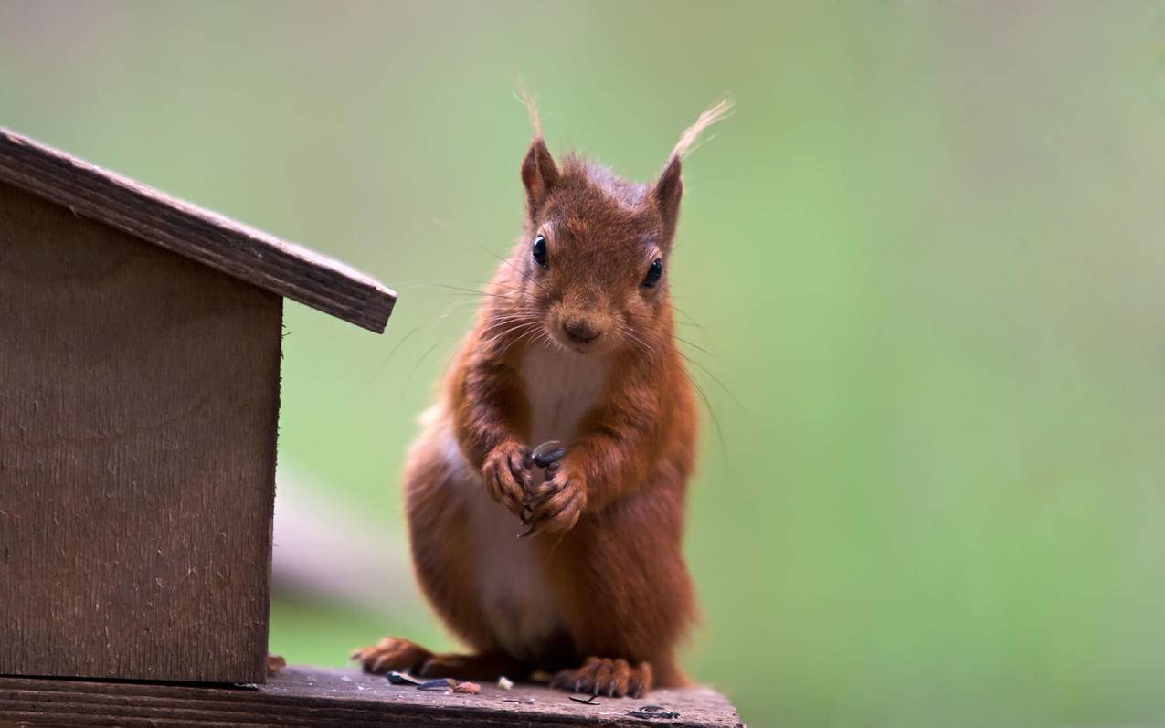 dy业务下单平台网站,抖音低价秒涨业务网站_dy低价业务