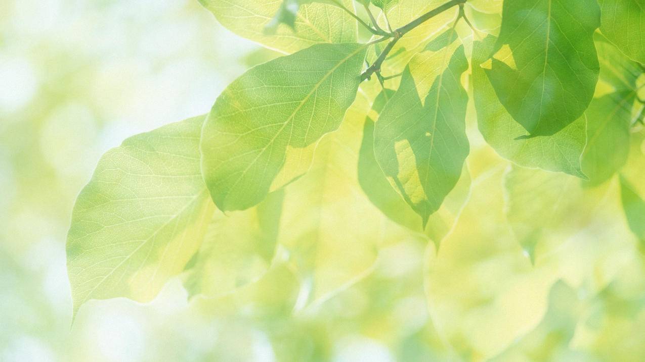 台湾苹果id怎么通过邮箱找回密码_如何用邮箱找回苹果id密码 - 台湾苹果ID - 55dz账号网