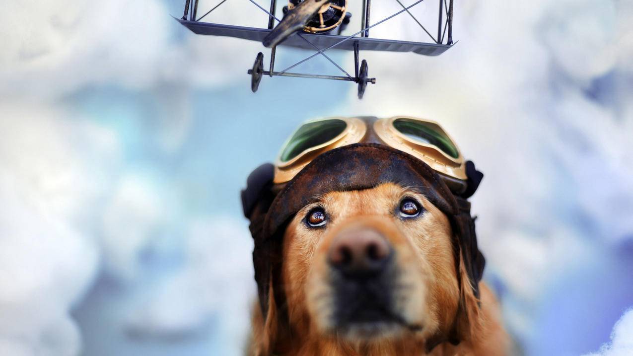 小火箭超时是怎么回事  ( 小火箭怎么在ios上下载? ) - 55dz账号网