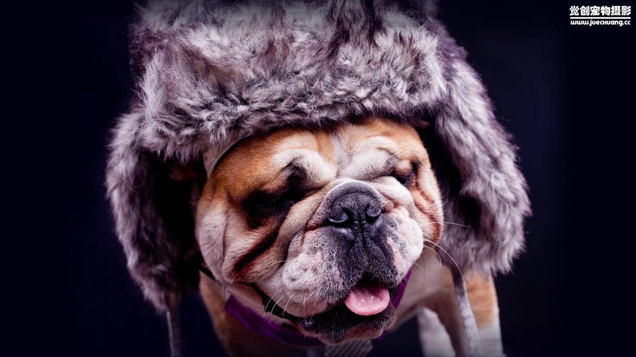 千川学习期结束如何操作？ - ks自助下单 - ks业务下单