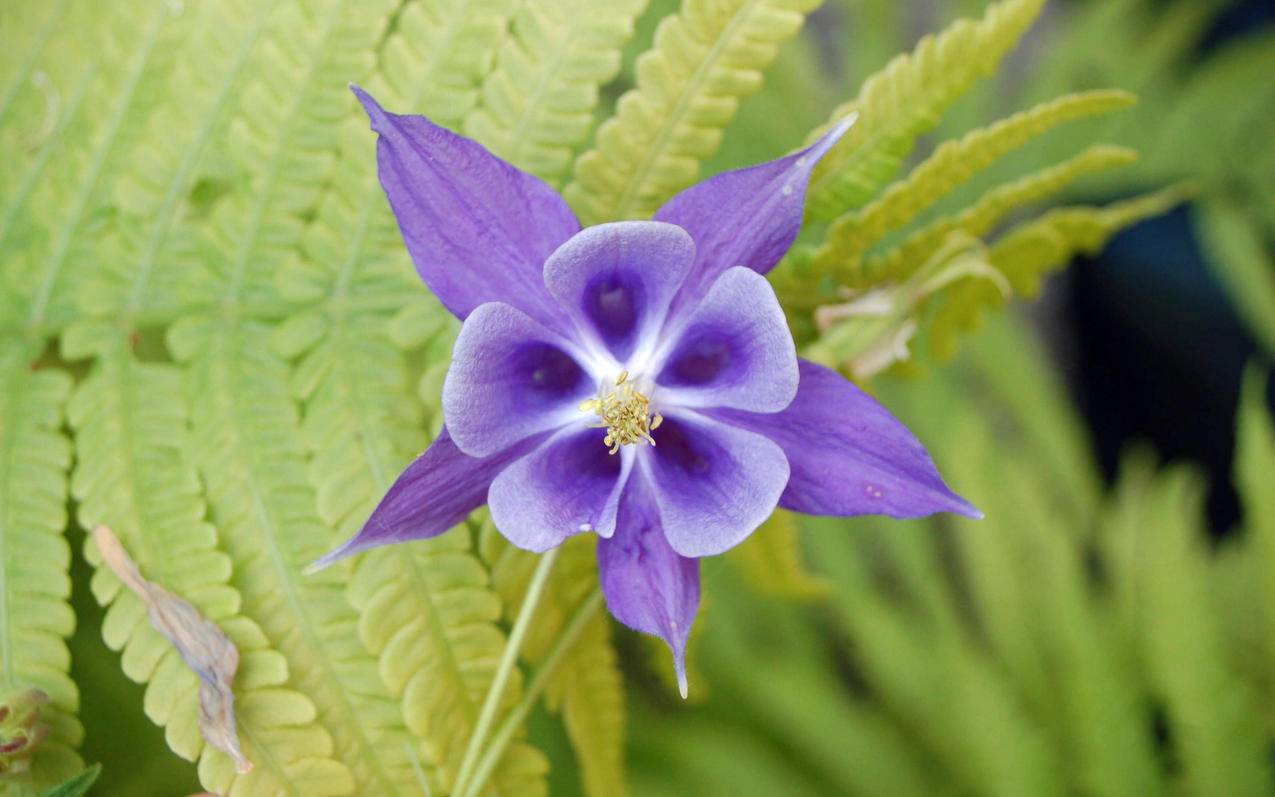 美国亚马逊礼品卡套现 - Apple ID相关 - 55dz账号网