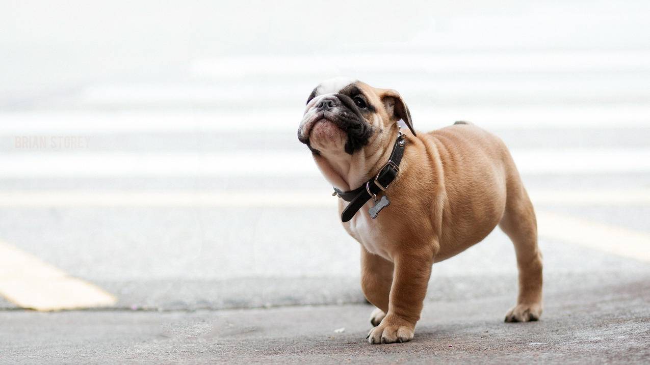 刷qq空间主页赞-低价ks业务平台,众人服务网,抖音刷赞行价