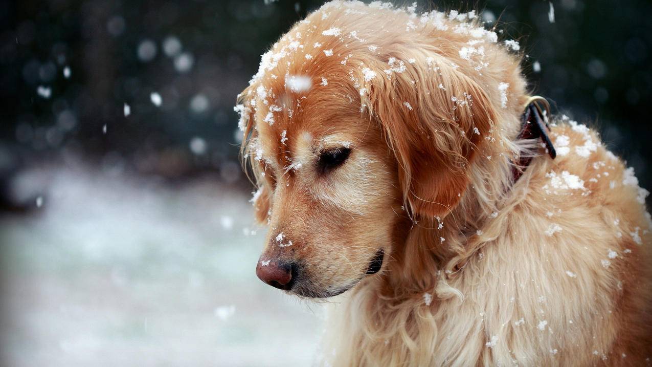 怎么进入别人的163邮箱_怎么进入别人的163邮箱账号 - gmail相关 - 55dz账号网