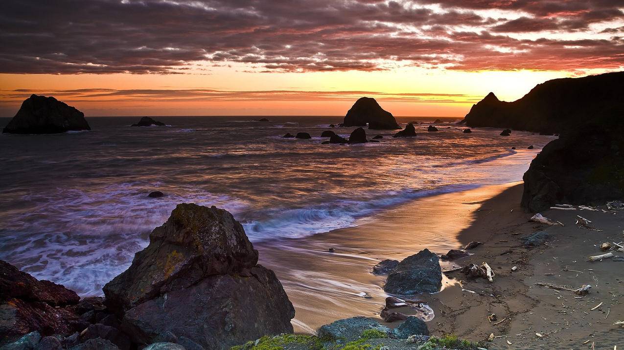 上海tiktok培训哪家好_tiktok 上海 - tiktok相关 - 55dz账号网