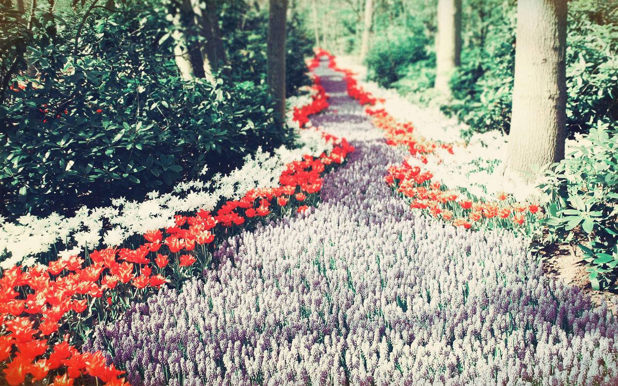 celine老花包编号_celine的包包有编号吗 - Line相关 - 55dz账号网