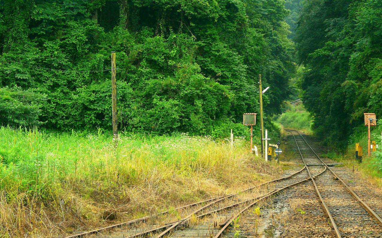 两个人用同一个越南苹果id会怎么样（两个人用同一个越南苹果id会怎么样） - 各区苹果ID - 55dz账号网