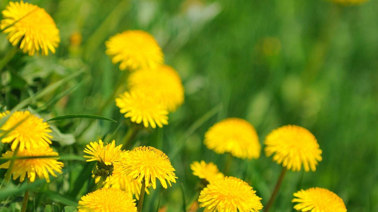 推特凡哥改名  ( 推特账号怎么改名字? ) - 55dz账号网