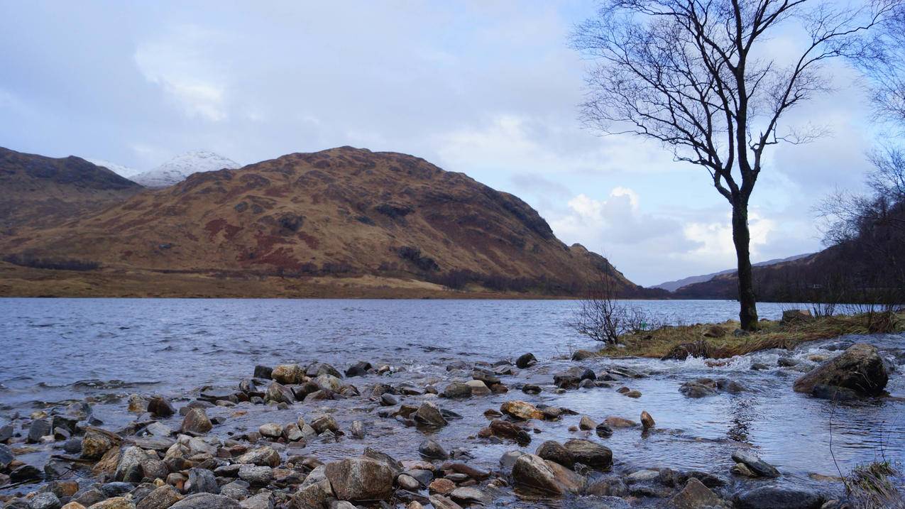 韩国appleid密码找回苹果官网_找回iphoneid密码 - 韩国苹果id - 55dz账号网