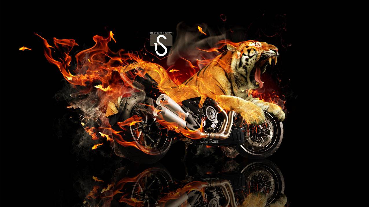 抖音国际版tiktok百度网盘_国际版抖音tik tok怎么下载 - tiktok相关 - 55dz账号网