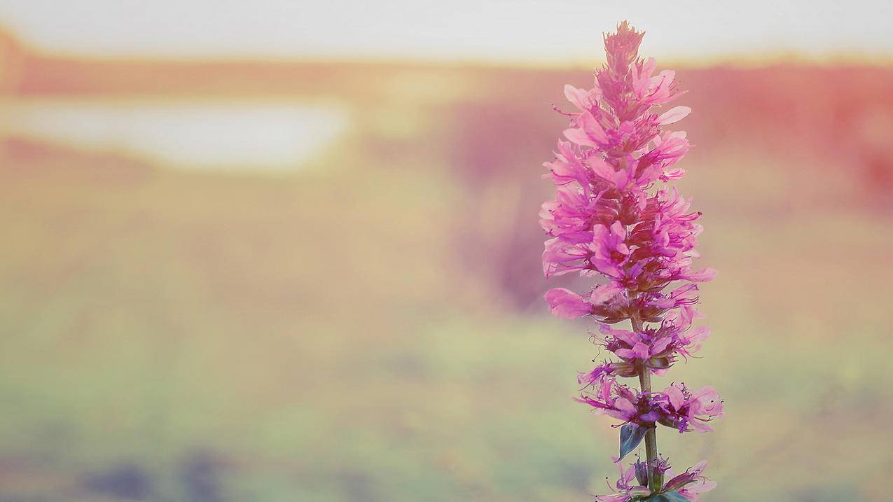 谷歌账号为什么注册不了啊?  ( 谷歌账号怎么注册不了呢 ) - 55dz账号网