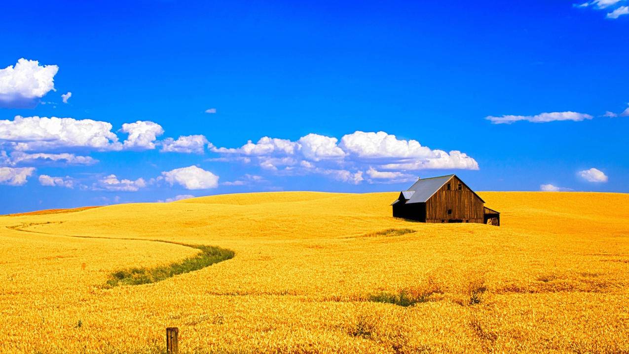 删除好友了还能恢复聊天记录吗_删除好友了还能恢复聊天记录吗 - messenger相关 - 55dz账号网